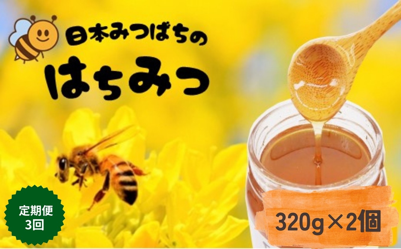 
            【 定期便 3回 】和水町産 日本蜜蜂のはちみつ｢希少品｣ 320g×2個 | 熊本県 熊本 くまもと 和水町 なごみまち なごみ ハチミツ ハチミツ 蜂蜜 日本蜜蜂 国産 320g×2個 瓶
          
