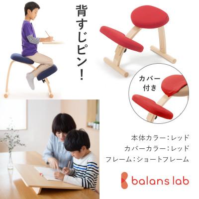 ふるさと納税 美濃市 バランスイージー ショート[レッド]カバー付+イージーライティングボードL【複数個口で配送】