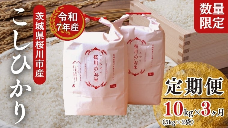 
            《 3ヶ月 定期便 》【生産者支援】《令和7年産》新米 茨城県桜川市産 こしひかり 10kg ( 5kg × 2袋 ) × 3回 茨城県産 桜川 米 お米 白米 コメ ごはん 精米 コシヒカリ 国産 限定 [SC053sa]
          
