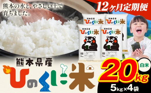 【12ヶ月定期便】 白米 ひのくに米 20kg 《お申込み翌月から出荷》 食品 米 こめ コメ 熊本県産 ふるさと納税 お米 おこめ 熊本