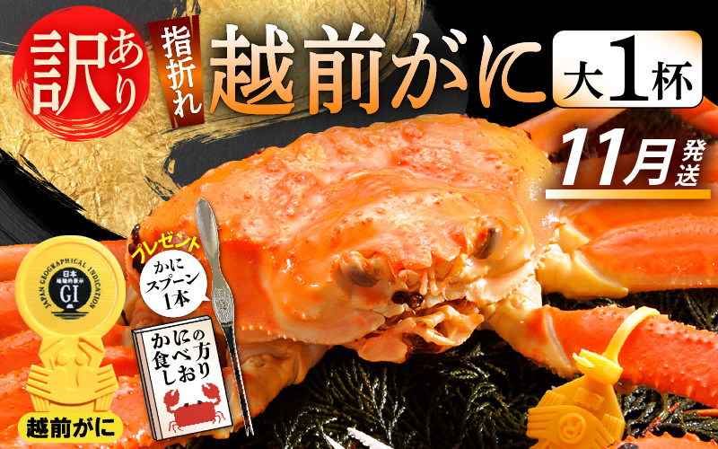 
            【訳あり】≪浜茹で≫指折れ 越前がに（大） × 1杯 食べ方しおり かにスプーン付き【雄 ズワイガニ ずわいがに 越前ガニ 姿 ボイル 冷蔵 福井県】【11月発送分】希望日指定可 備考欄に希望日をご記入ください [e15-x005_11]
          