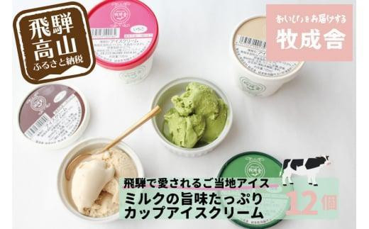 ＜牧成舎＞ 飛騨の牛乳屋が作る ミルクの旨味たっぷり カップアイスクリーム  12個入り（バニラ/抹茶/いちご/ラムレーズン 各3個）| デザート 牧場 アイス 人気 おいしい 牛乳 ギフト プレゼント バレンタイン ホワイトデー 母の日 飛騨高山 牧成舎 DF018VC13