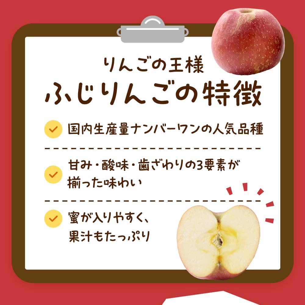【令和6年産先行予約】 〈訳あり品 家庭用〉 りんご 「サン