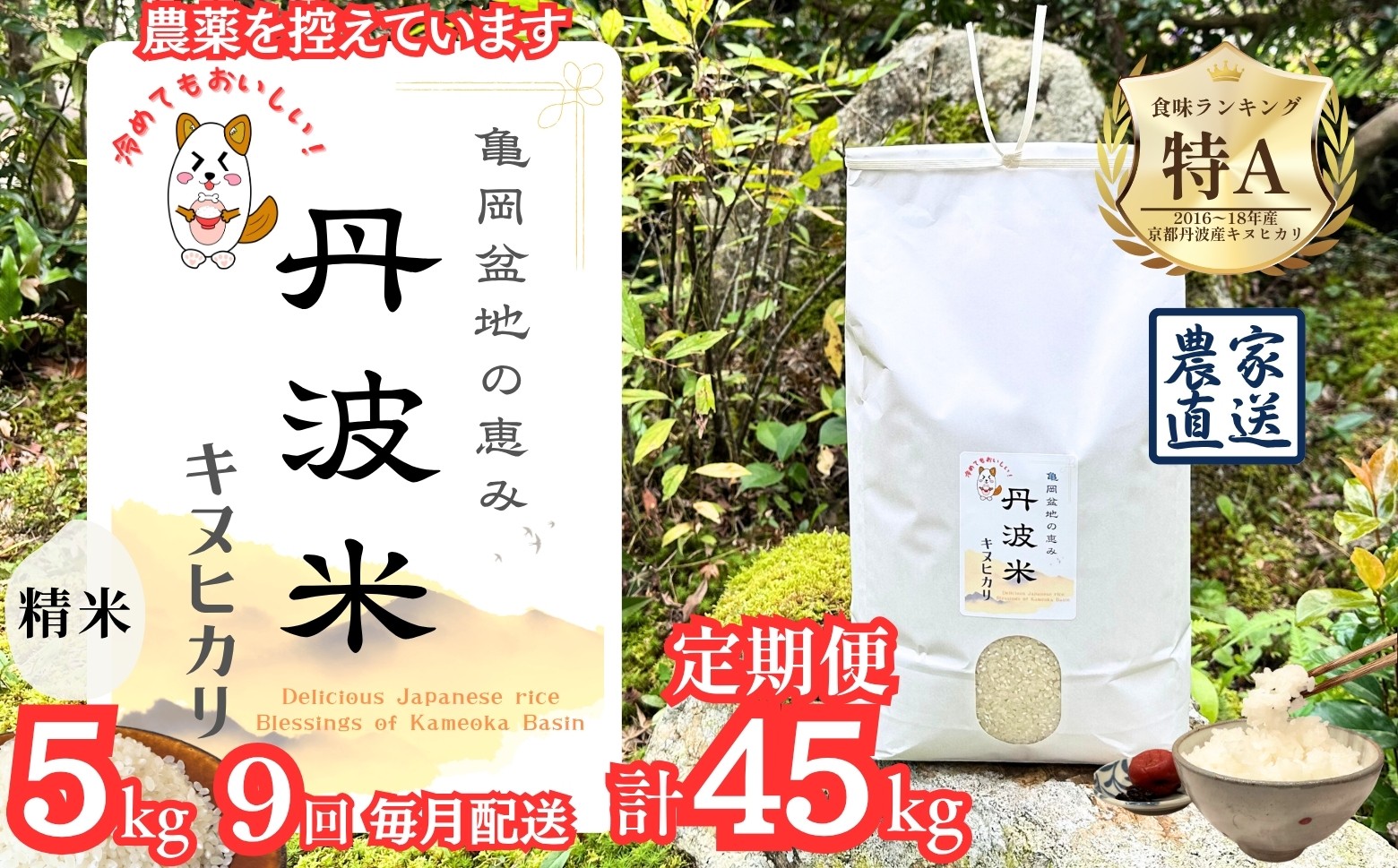 
                  【定期便】令和8年産 新米 京都丹波産 キヌヒカリ 5kg×9回 計45kg ≪亀岡盆地の恵み 農薬を控えています 精米したてをお届け 自家栽培米 生産農家 直送 白米 米 精米≫ ※2026年9月～発送
                