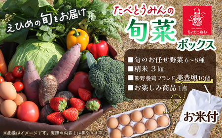 たべとうみんの旬菜ボックス（お米付）｜ 野菜詰め合わせ 美豊卵