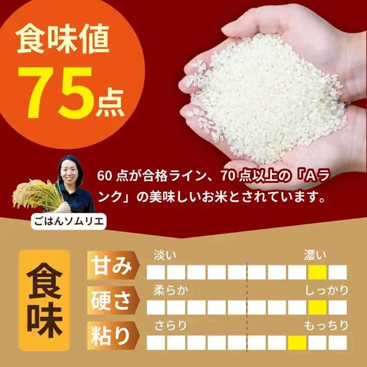 佐賀ブランド米 さがびより （20kg） 肥前糧食 D480-001