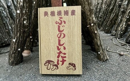 希少な原木栽培 肉厚 ふじのしいたけ 1kg ※2025年12月上旬～2026年4月上旬頃までに順次発送予定