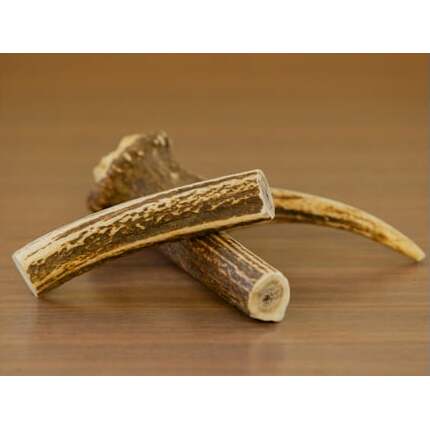 【ふるさと納税】7-012-045　鹿の角・愛犬デンタルおもちゃ（大）　雑貨・日用品・雑貨・日用品　お届け：入金確認後、1週間～1ヶ月以内