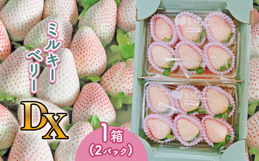 いちご【先行予約】【2026年12月以降発送】ミルキーベリーDX 期間限定 1箱(2パック)【栃木県 真岡市産】いちご 果物 イチゴ 苺 旬 産地直送 国産