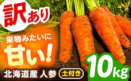 【訳あり】 北海道 にんじん 10kg （土付き）《足寄町》【えとりファーム】[BEBA006]