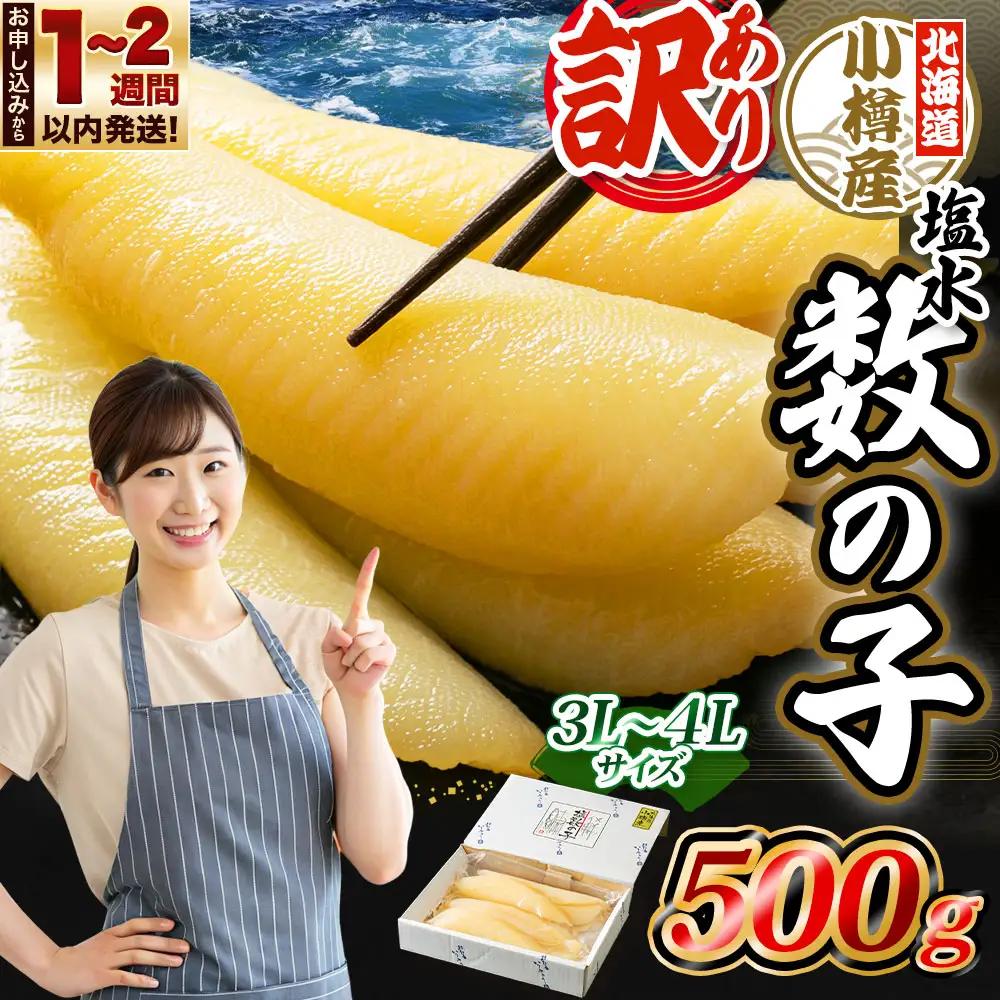 北海道 小樽産 訳あり 塩水 数の子 500g 国産 冷蔵 かずのこ 4Lサイズ 魚卵 お節 おせち