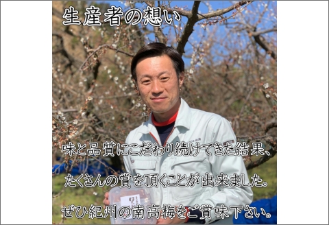 【0835-3】紀州南高梅 かつお梅(塩分8%) 1kg