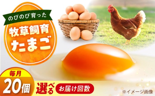 天心山 たまご 20個 【回数が選べる定期便】【全6回定期便】卵 たまご 高級 食品 たまごかけご飯 卵かけご飯 卵焼き 生卵 濃厚 ケーキ お菓子 づくり ランキング 上位 人気 おすすめ 定期便 ふるさと納税 20個 TKG 産地直送 新鮮 鶏卵 平飼い 広島 福山 アグリヒーロー 朝食 産直 送料無料 広島 福山  広島県福山市/天心山ファーム [BABW019]