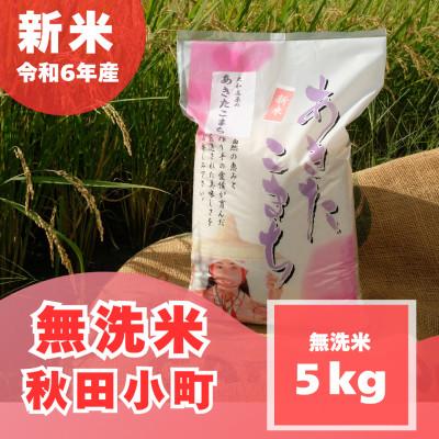 ふるさと納税 大和高田市 【2025年10月下旬発送】【令和6年】【無洗米】 奈良県産 秋田小町 5kg | 