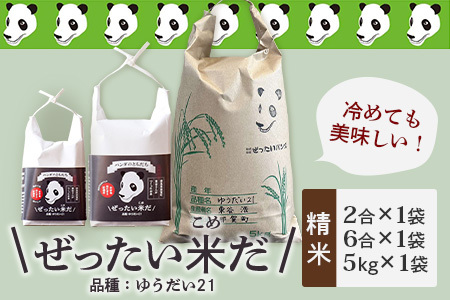 ぜったい米だ 2合×1個 6合×1個 5kg×1個セット ZP-7 6.2kg お米 白米 精米 贈り物 プレゼント お土産 ゆうだい21
