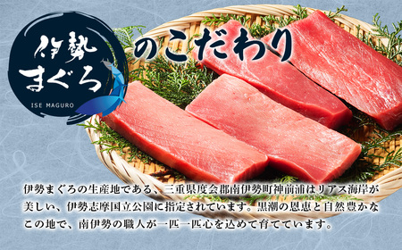 【冷凍】伊勢まぐろ（養殖本まぐろ）赤身・トロ身 計4個　約700g／鮪　本マグロ　トロ　三重県産
