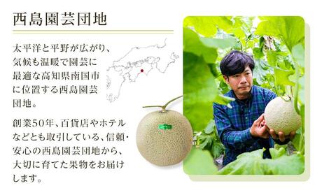 高知県南国市産／贈答用マスクメロン（2個）【メロン フルーツメロン くだもの メロン デザート メロン 高評価 メロン 厳選 メロン 高級 メロン ギフト メロン 贈り物 メロン  人気 おすすめ】