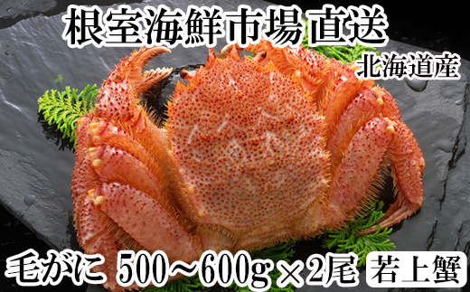 C-14061 ボイル毛がに500～600g×2尾(若上蟹)