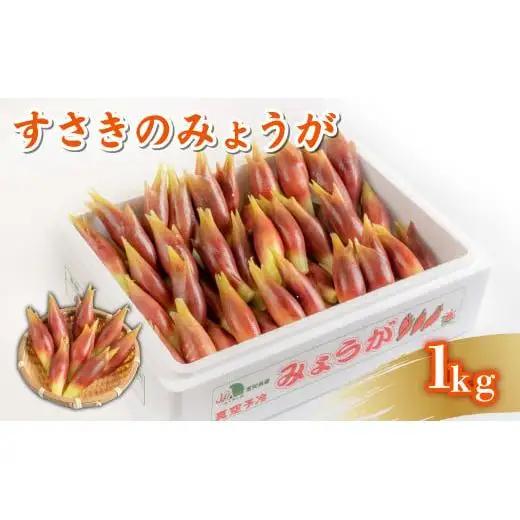 【 みょうが 】 1kg  かつおのたたき に 合う すさきのみょうが
