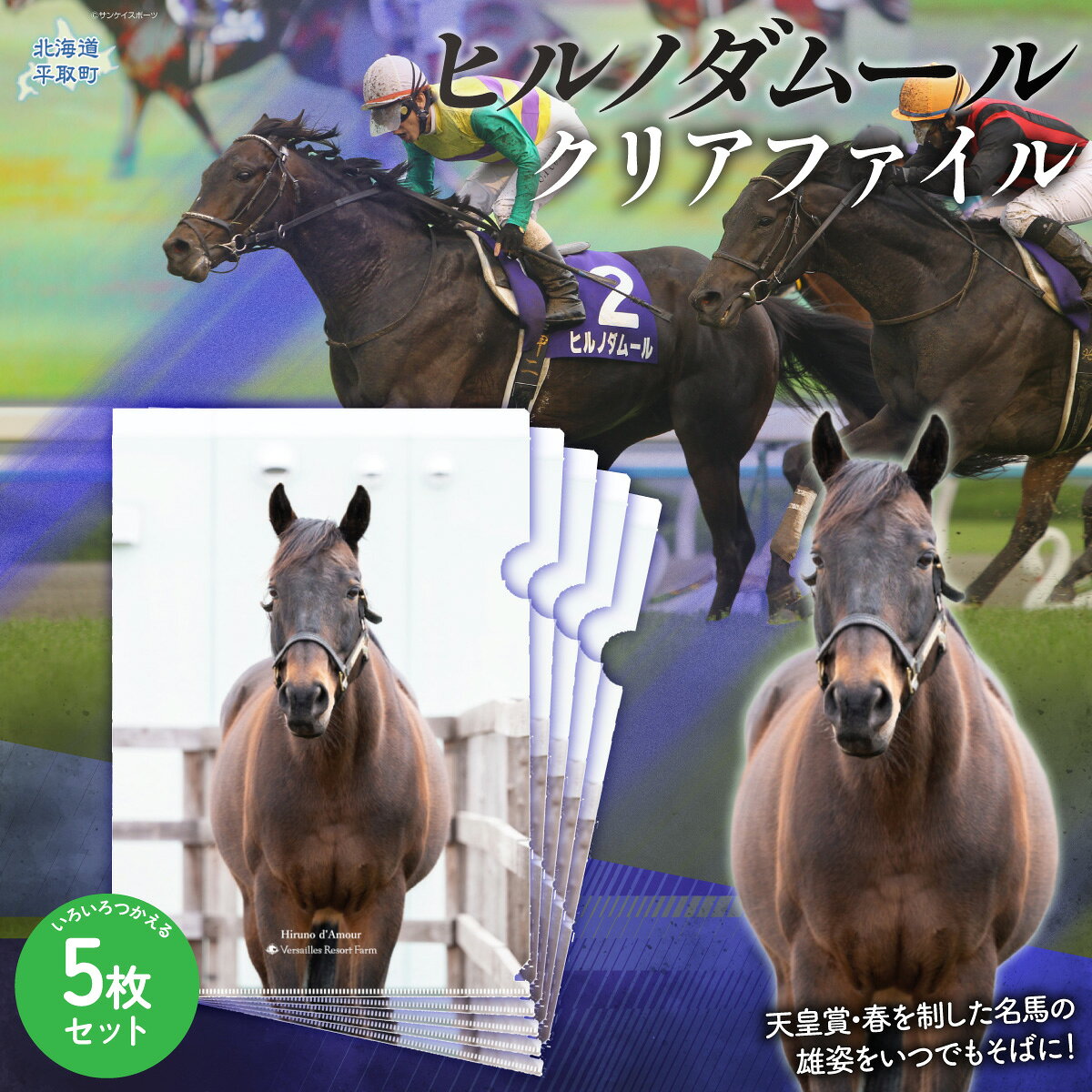 【ふるさと納税】【ヒルノダムール】クリアファイル 写真5枚入り 【ふるさと納税 人気 おすすめ ランキング 馬 競馬 競走馬 引退馬 ヒルノダムール クリアファイル ファイル 事務用品 文房具 日高 北海道 平取町 送料無料】 BRTV303