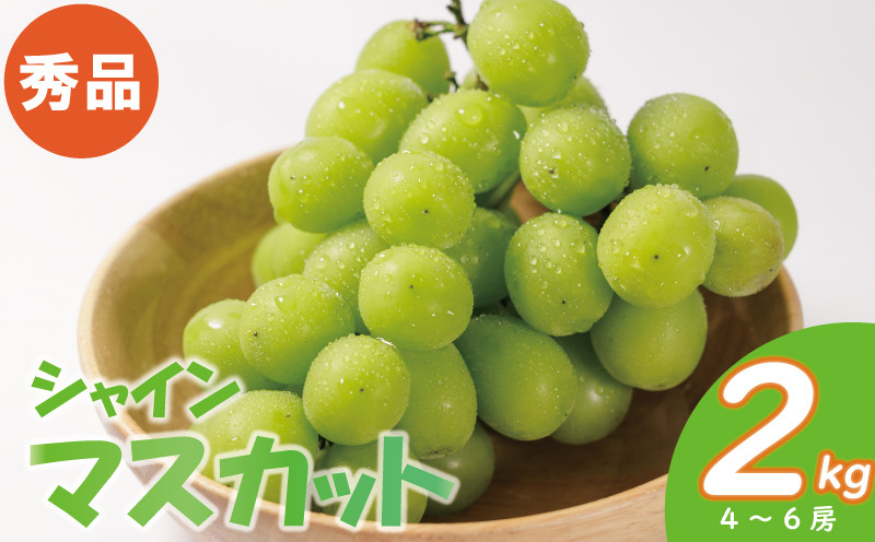 
                  【2026年発送分先行予約】  秀品 シャインマスカット 約2kg ( 4 ~ 6房 ) ぶどう ブドウ 葡萄 マスカット ますかっと 果物 くだもの フルーツ 果物 高級 冷蔵 数量限定 おすすめ 愛媛県産 松山市 旬 高級
                