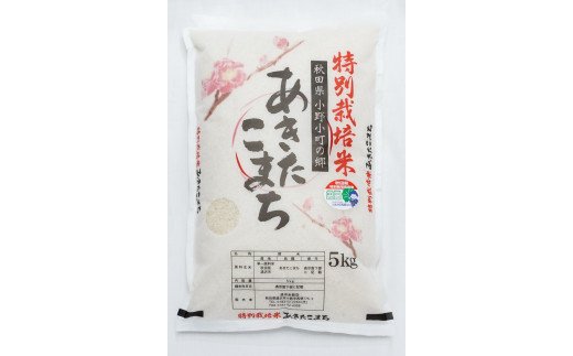 【令和6年産米】小野小町の郷特別栽培米あきたこまち5kg×1袋[B35-2201]