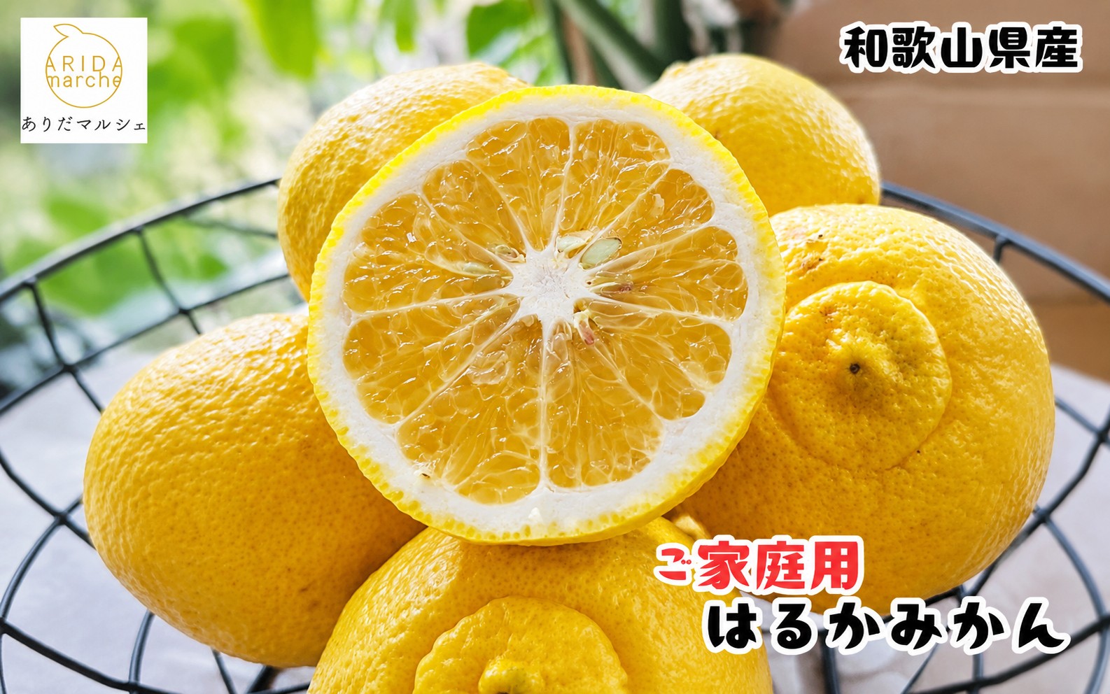 【先行予約】【人気柑橘】 有田育ちの はるか みかん（訳あり 家庭用）約5kg+200g(傷み補償分) ※2027年1月下旬～3月下旬に順次発送 ※着日指定不可【ard156B】
