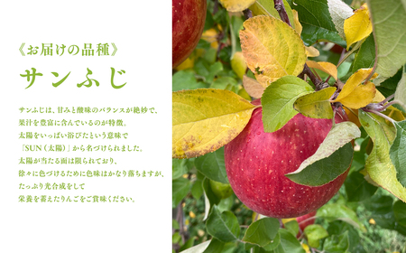 1～3月 訳あり 葉とらず サンふじ 家庭用 約5kg 【岩渕農園・平川市産・青森りんご・1月・2月・3月