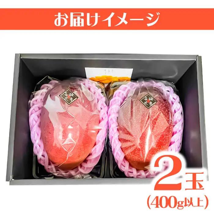 【2027年7月-発送】南島原産完熟マンゴー２玉 / 南島原市 / ながいけ [SCH064]