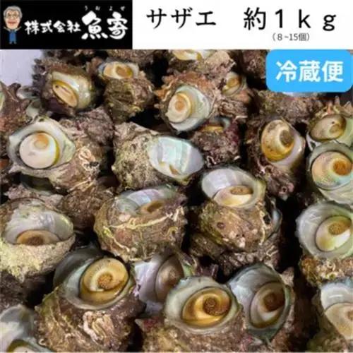 サザエ 約1kg(8個～15個)【配送不可地域：離島・北海道・沖縄県・東北】【1746720】