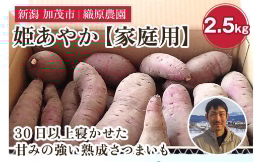 【2025年先行予約】新潟県 加茂市産 姫あやか 【家庭用】 2.5kg 《11月上旬～順次発送》 人気 さつまいも 訳あり 家庭用 さつまいも 熟成 さつまいも しっとり甘みの強い さつまいも 焼き芋 焼芋 スイートポテト 加茂市 織原農園