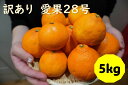 【ふるさと納税】訳あり 愛果28号 5kg サイズミックス 【2024年12月配送】みかん 愛媛 数量限定 先行予約 柑橘 伊予市｜B220