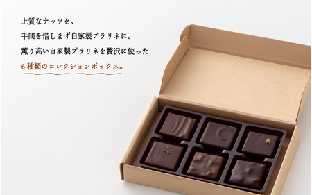 【le fleuve】チョコレート6種 プラリネ6