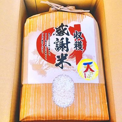 ふるさと納税 須賀川市 お米　天のつぶ(白米・精米)5kg