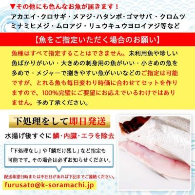 ふるさと納税 肝付町 漁師厳選!ロコフィッシュ(地魚) 下処理済 鮮魚 ボックス(約4〜5kg)　A78004 |  | 01
