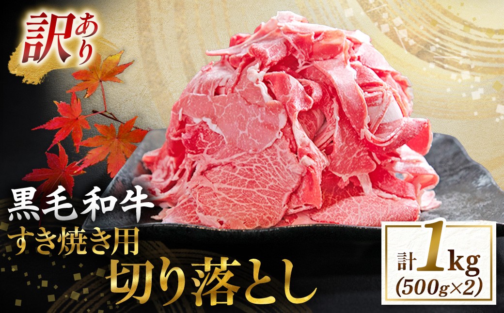
                  【黒毛和牛専門店直送】訳あり限定品・宮崎県産黒毛和牛すき焼き用切り落とし 1kg（国産 牛肉 和牛 薄切り スライス 切り落とし 赤身 訳あり 特別提供）
                