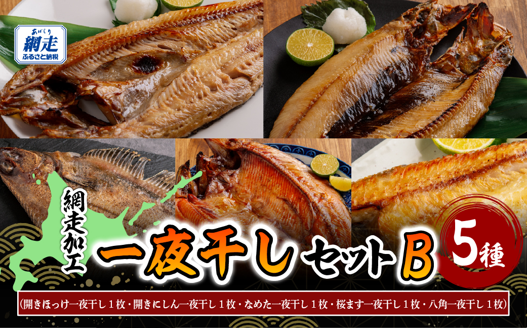 網走加工の一夜干しセット 5種B ABB173