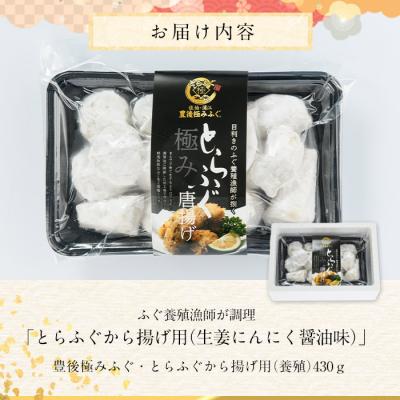 ふるさと納税 佐伯市 とらふぐ 唐揚げ 生姜にんにく醤油味 (約430g) |  | 01