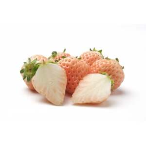 【2026年発送予定】長野県産 希少 白いちご  6パック【1.2kg】【配送不可地域：離島】【1705275】