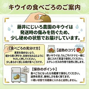 【先行予約】キウイ 4種アソート 約1.9kg 山口県阿武町産【2026年11月～2027年2月発送】