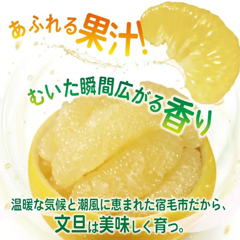 文旦 宿毛 の 土佐文旦 10kg 家庭用