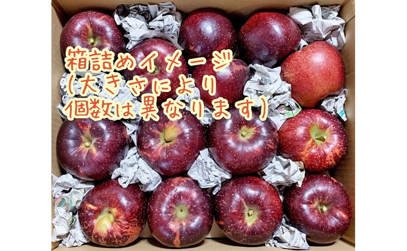 【2026年先行予約】 訳あり りんご 秋映 約5kg 林檎 リンゴ 5kg 果物 くだもの フルーツ デザート 旬の果物 旬のフルーツ 訳アリ 長野県 長野