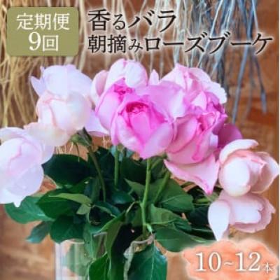 ふるさと納税 藤枝市 【発送月固定定期便】香るバラの朝摘みローズブーケ(Sサイズ)全9回