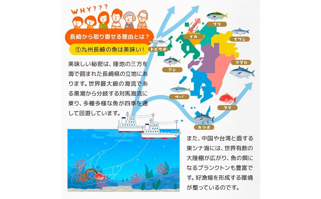 真アジ一夜干し 21尾 ／ 海鮮 魚介 干物 ひもの あじ 鯵 アジ 長崎県 長崎市