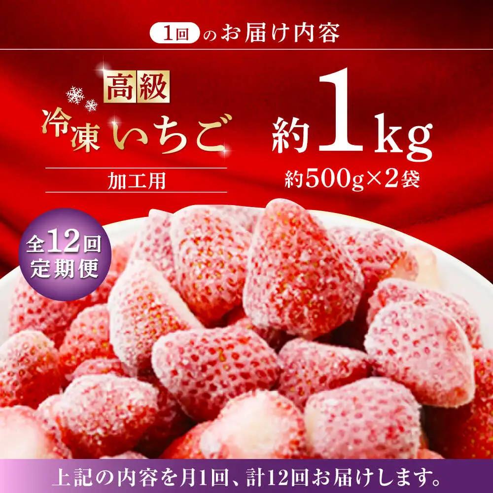 【12回定期便】高級 冷凍  いちご 加工用 約1kg（約500g×2袋）【伊藤農園】 果物 フルーツ イチゴ いちご 苺 熊本県 特産品 オーガニック 有機 恋みのり 冷凍 [ZBB017]