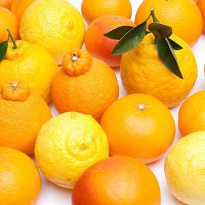 ＜1月より発送＞厳選 柑橘詰合せ2kg+60g（傷み補償分）【有田の春みかん詰め合わせ・フルーツ詰め合せ・オレンジつめあわせ】【光センサー選別】