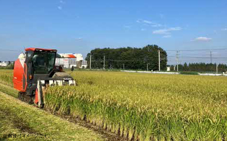 とちぎの星 20kg 5kg × 4袋 栃木県 野木町産 令和6年 KB04