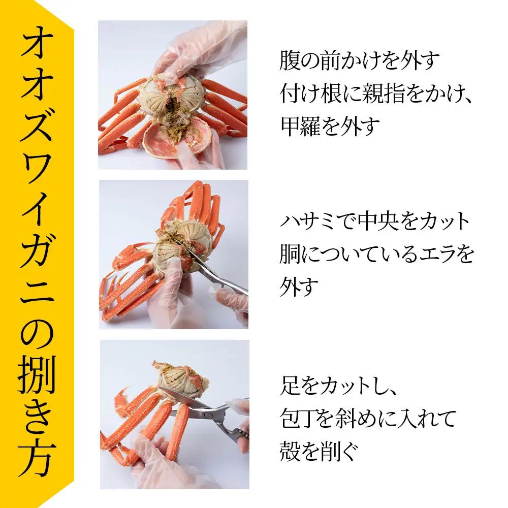 【7営業日以内発送】訳あり オオズワイガニオス 中サイズ (約200-350g) 浜ゆで 1kg (3-5尾入)AS224