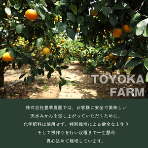 温室みかん 約1.2kg｜豊華の夢ロード ※化粧箱入り 