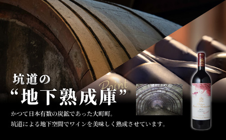 坑道熟成高級ワイン（シャトームートンロートシルト）1本×750ml | 赤ワイン フランス産 カルベネ・ソーヴィニヨン 熟成高級ワイン 五大シャトー 佐賀県 大町